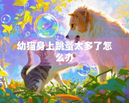 幼猫身上跳蚤太多了怎么办