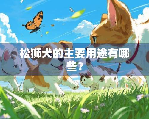 松狮犬的主要用途有哪些？