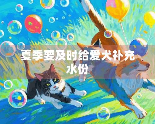 夏季要及时给爱犬补充水份