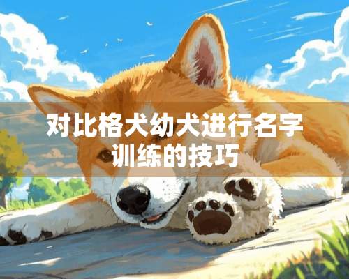 对比格犬幼犬进行名字训练的技巧