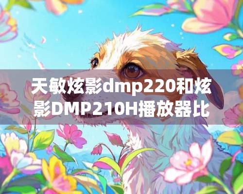 天敏炫影dmp220和炫影DMP210H播放器比较