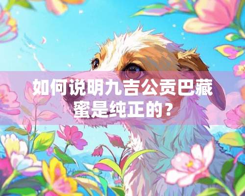 如何说明九吉公贡巴藏蜜是纯正的？