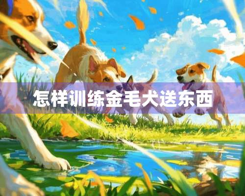 怎样训练金毛犬送东西