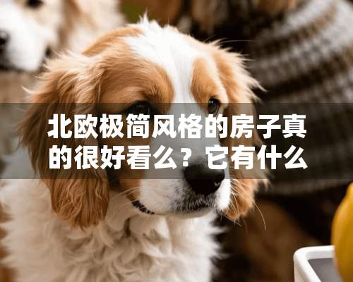 北欧极简风格的房子真的很好看么？它有什么特点么？