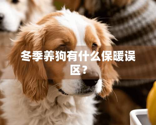 冬季养狗有什么保暖误区？