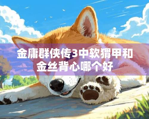 金庸群侠传3中软猬甲和金丝背心哪个好