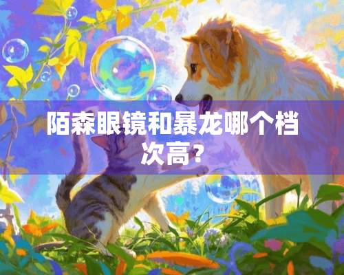 陌森眼镜和暴龙哪个档次高？