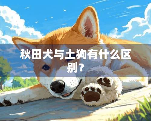 秋田犬与土狗有什么区别？