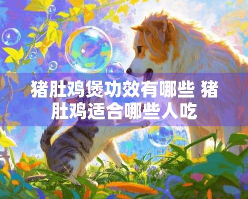 猪肚鸡煲功效有哪些 猪肚鸡适合哪些人吃