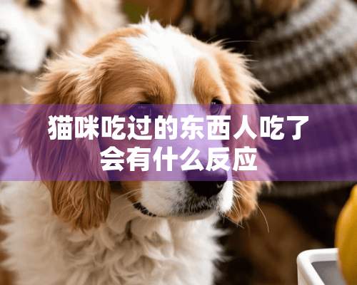 猫咪吃过的东西人吃了会有什么反应