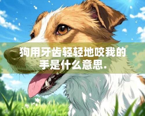 狗用牙齿轻轻地咬我的手是什么意思.