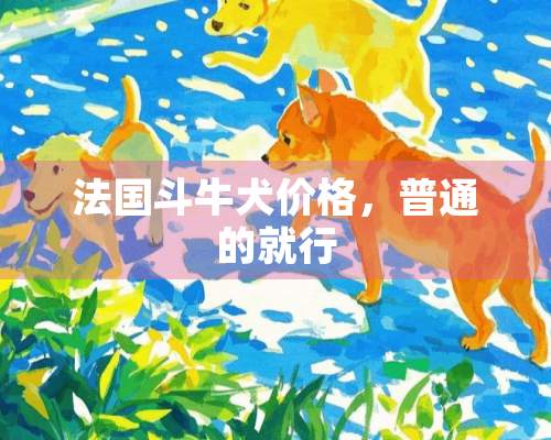 法国斗牛犬价格，普通的就行