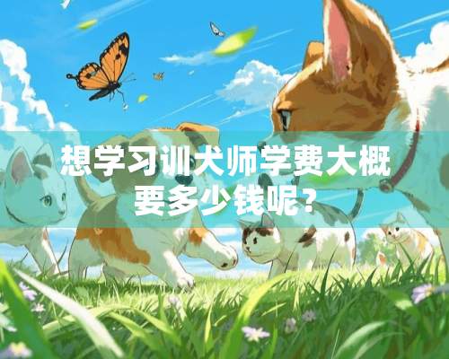 想学习训犬师学费大概要多少钱呢？