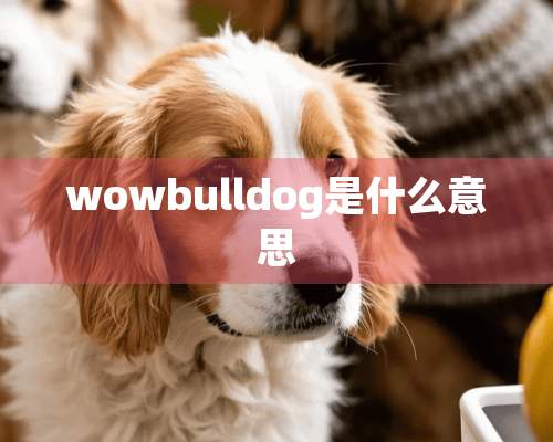 wowbulldog是什么意思