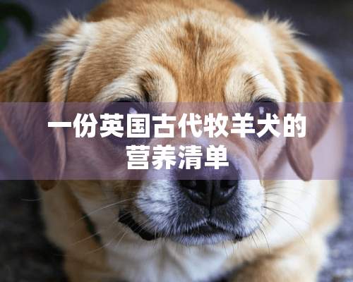 一份英国古代牧羊犬的营养清单