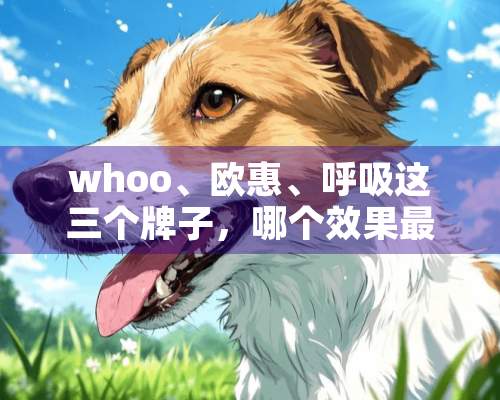 whoo、欧惠、呼吸这三个牌子，哪个效果最好？