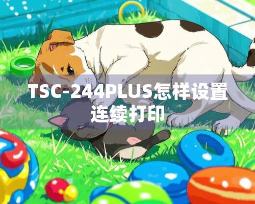 TSC-244PLUS怎样设置连续打印