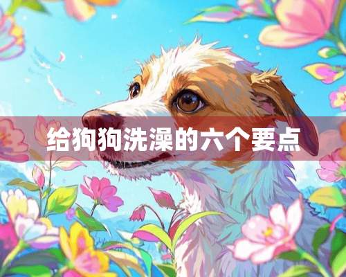 给狗狗洗澡的六个要点