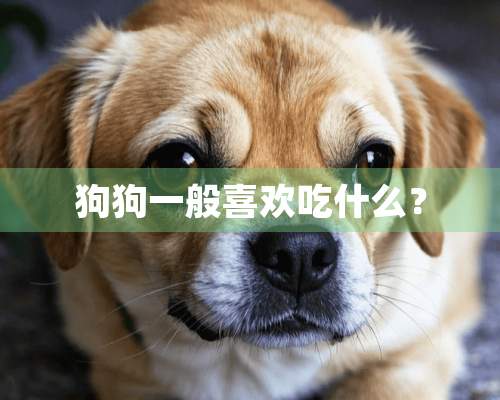 狗狗一般喜欢吃什么？