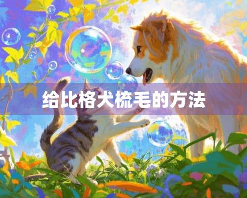 给比格犬梳毛的方法