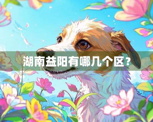 湖南益阳有哪几个区？