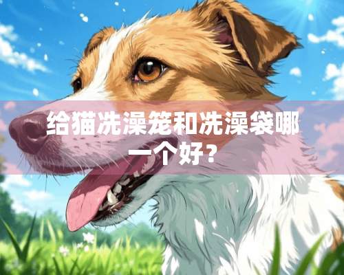 给猫冼澡笼和冼澡袋哪一个好？