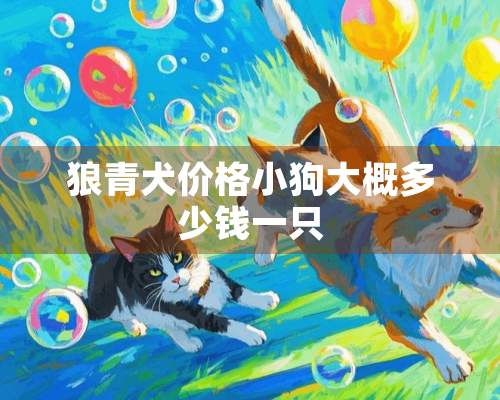 狼青犬价格小狗大概多少钱一只