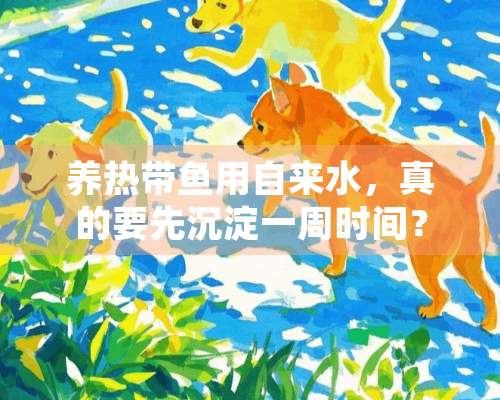 养热带鱼用自来水，真的要先沉淀一周时间？