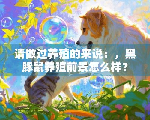 请做过养殖的来说：，黑豚鼠养殖前景怎么样？