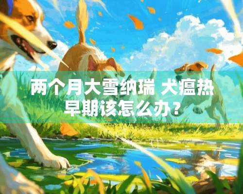 两个月大雪纳瑞 犬瘟热早期该怎么办？