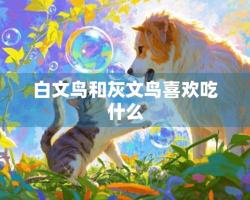 白文鸟和灰文鸟喜欢吃什么