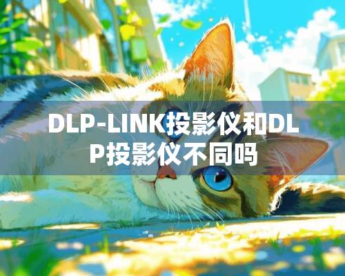 DLP-LINK投影仪和DLP投影仪不同吗