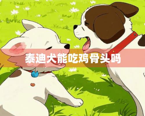 泰迪犬能吃鸡骨头吗