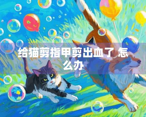 给猫剪指甲剪出血了 怎么办