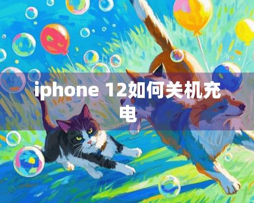 iphone 12如何关机充电