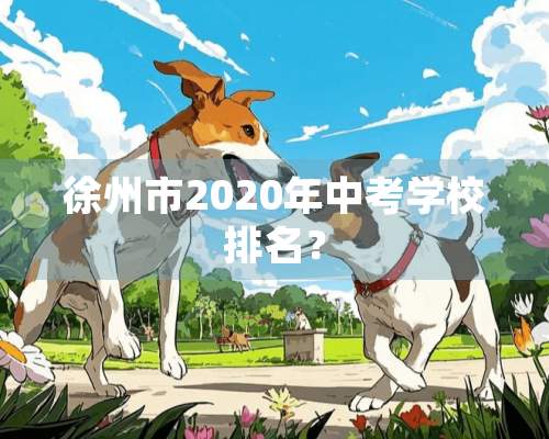 徐州市2020年中考学校排名？