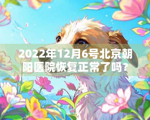 2022年12月6号北京朝阳医院恢复正常了吗？