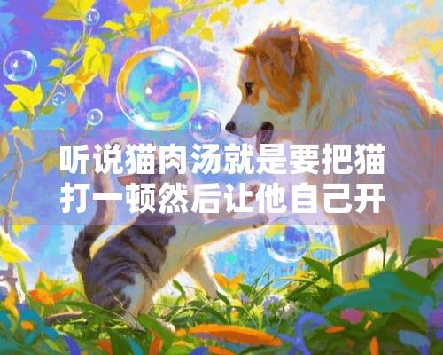 听说猫肉汤就是要把猫打一顿然后让他自己开水