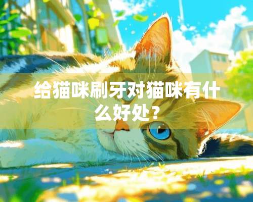 给猫咪刷牙对猫咪有什么好处？