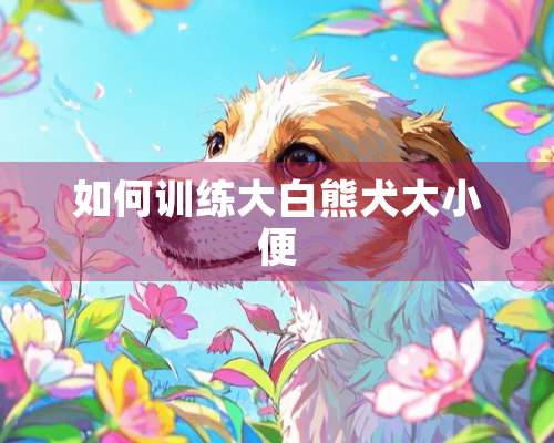 如何训练大白熊犬大小便