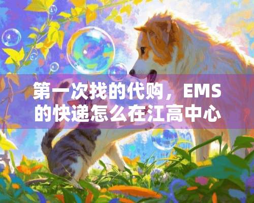 第一次找的代购，EMS的快递怎么在江高中心不动了？