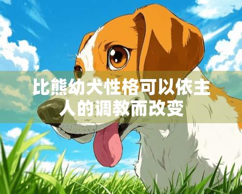 比熊幼犬性格可以依主人的调教而改变