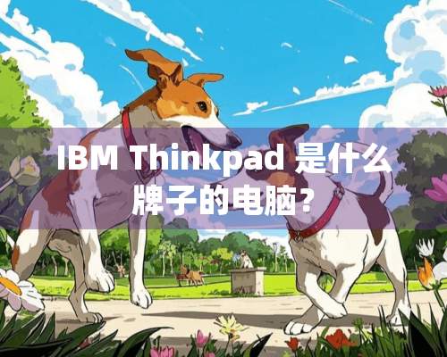 IBM Thinkpad 是什么牌子的电脑？