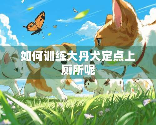 如何训练大丹犬定点上厕所呢