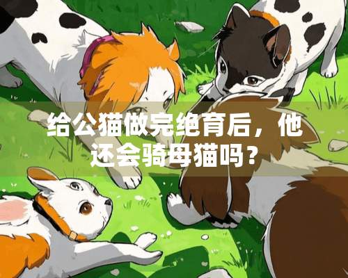 给公猫做完绝育后，他还会骑母猫吗？