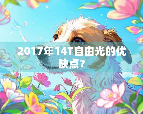 2017年14T自由光的优缺点？