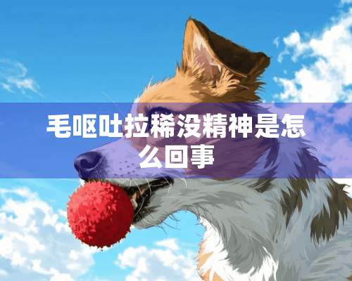 毛呕吐拉稀没精神是怎么回事