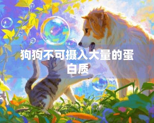 狗狗不可摄入大量的蛋白质