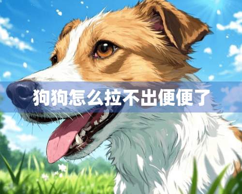 狗狗怎么拉不出便便了