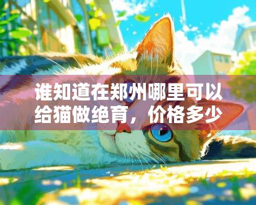 谁知道在郑州哪里可以给猫做绝育，价格多少啊？